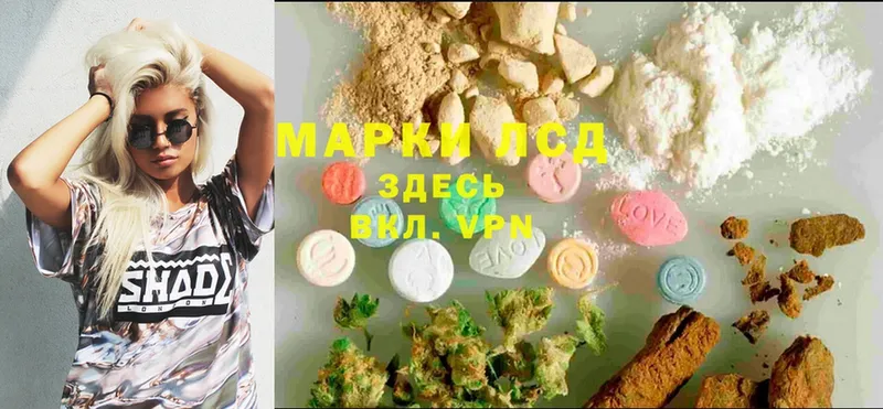 купить наркоту  Балахна  LSD-25 экстази ecstasy 