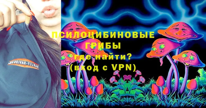 mega ссылки  Балахна  Галлюциногенные грибы Cubensis 